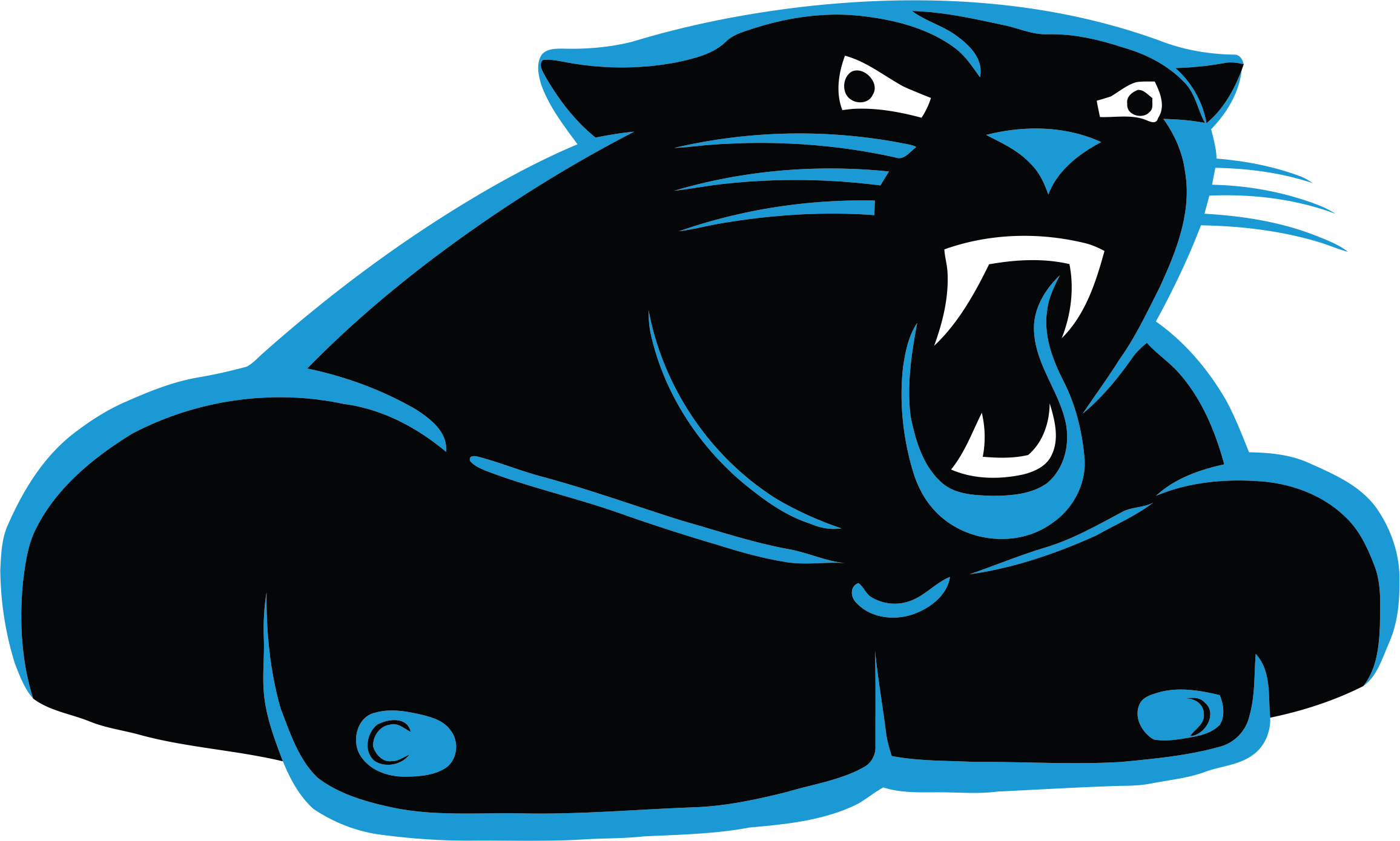 Carolina Panthers Steroids Logo fabric transfer